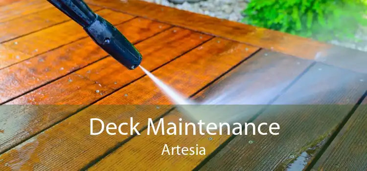 Deck Maintenance Artesia